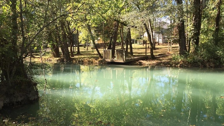 Creek at Buck Creek Trail in Alabaster, Alabama