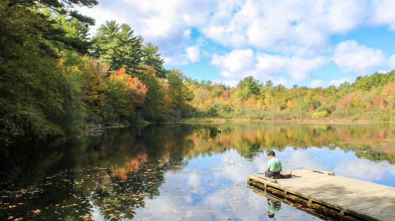 Fishing pond in Wompatuck State Park in Massachusetts