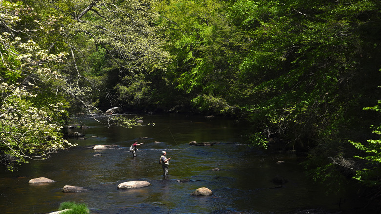 View of people fishing in the Natchaug River in Natchaug State Forest, Connecticut