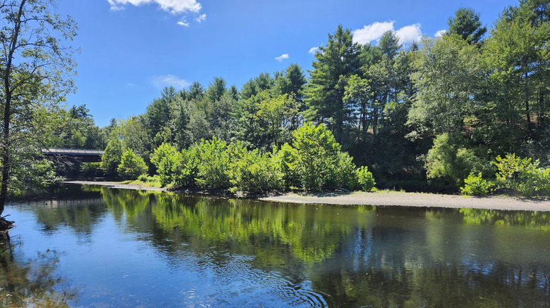 The Natchaug River in Natchaug State Forest, Connecticut