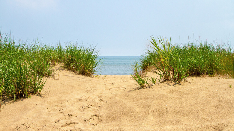 A beach access point at Turkey Point Provincial Park