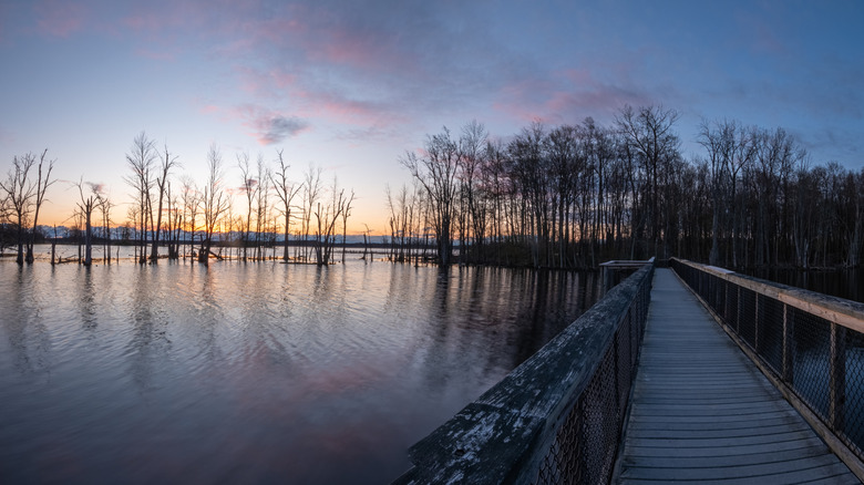 Sunset views over a boardwalk at Iroquois National Wildlife Refuge
