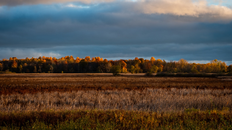 Gorgeous fall colors at Iroquois National Wildlife Refuge