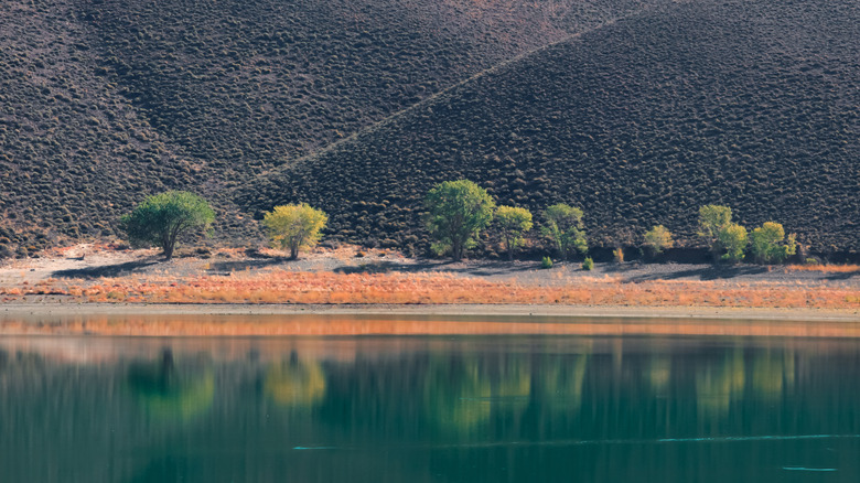 Trees and mountains reflected in the water around Topaz Lake, CA