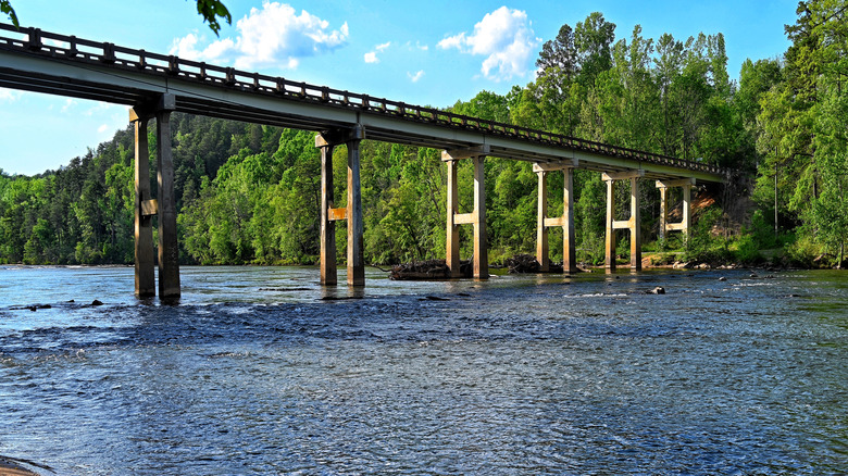 A bridge crossing the Broad River Greenway