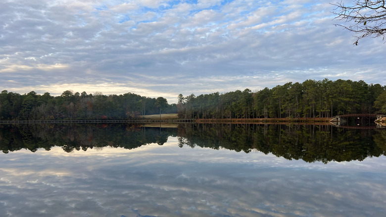 View of Lake Juniper in Cheraw State Park