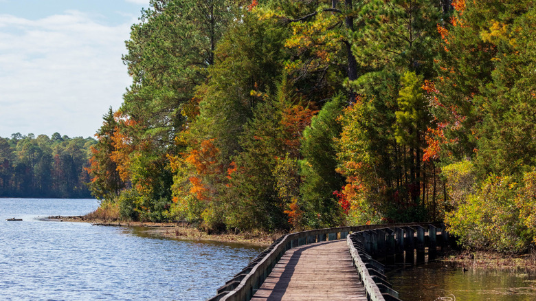 View of a walkway along Lake Juniper in Cheraw State Park