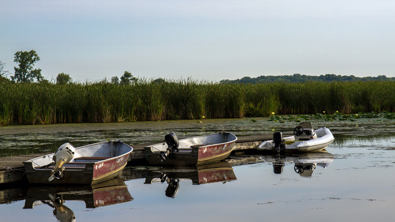 Three fishing boats sit on the water near Antioch, Illinois