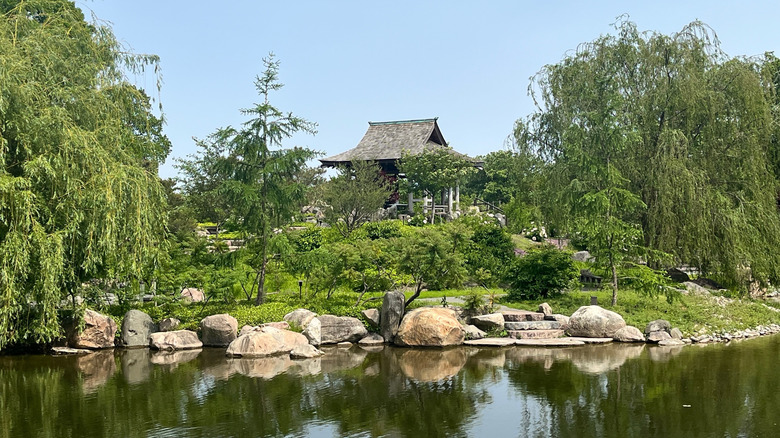 View of the Japanese Garden in Wellfield Botanic Gardens