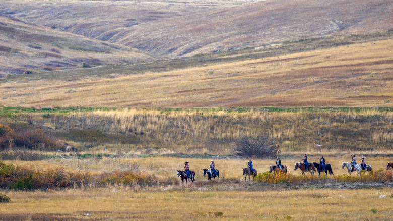 A group of people horseback riding at Chatfield State Park