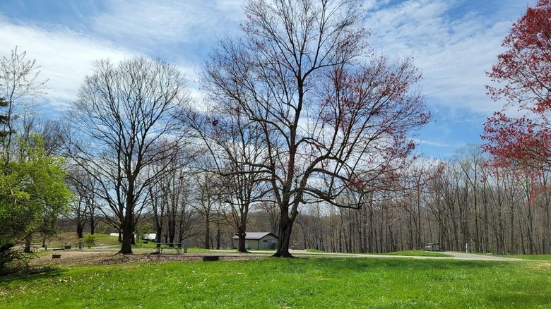 Beautiful campground view at Paint Creek Lake, Ohio