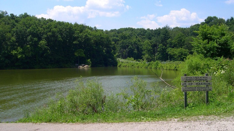 A concrete boat ramp leading to Clendening Lake with trees and a road in the background