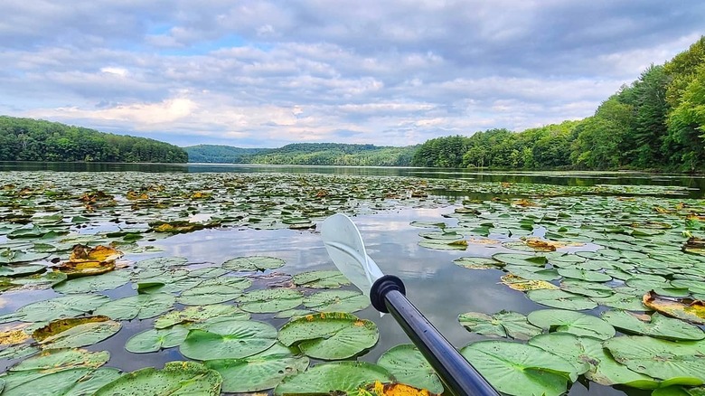 A paddler's oar hovers above the lily pad-dotted waters of Clendening Lake, Ohio