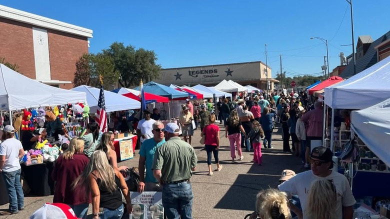 Crowd at The Texas Mushroom Festival in Madisonville, Texas