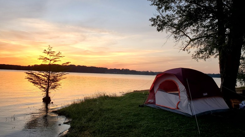 Tent set up at Lake Holbrook shore