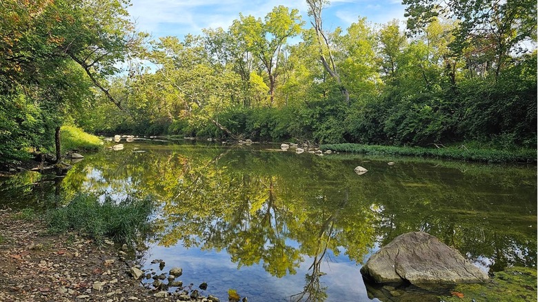 Twin Creek in Twin Creek MetroPark.
