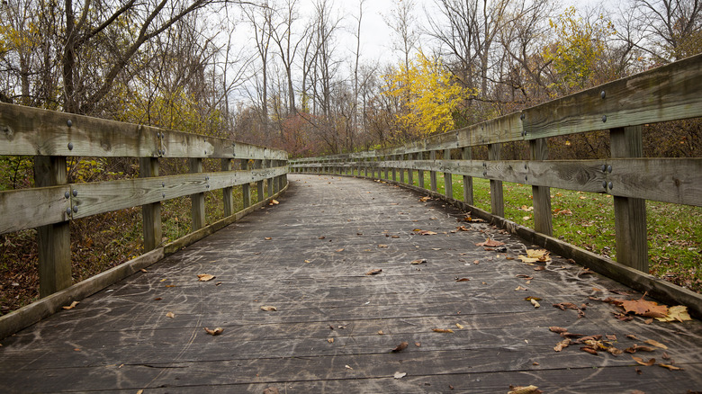 A wooden walkway in Lower Huron Metropark in the fall