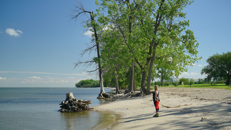Woman looks out at Lake Erie from the beach at Sterling State Park in Michigan.