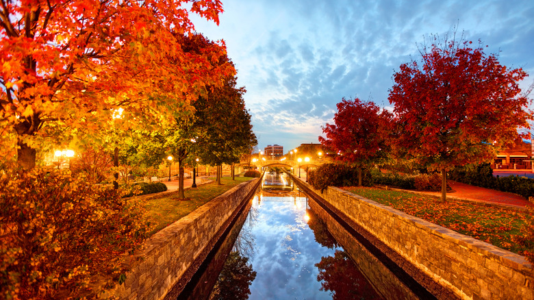 Fall foliage along a canal in Frederick, Maryland