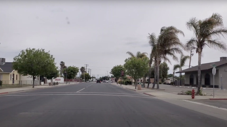 long road with palm trees and houses next to it