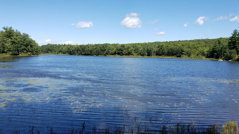 Man-made York Lake in Sandisfield State Forest in the Berkshires of Massachusetts