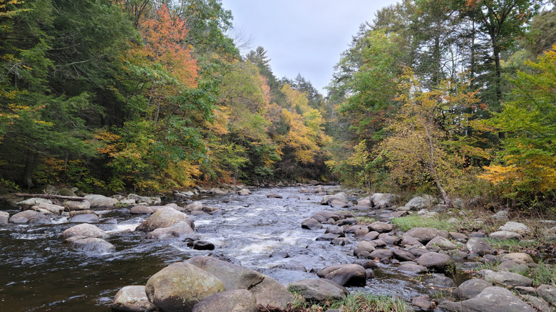 A rocky river lined with fall foliage in Sandisfield State Forest in the Berkshires of Massachusetts