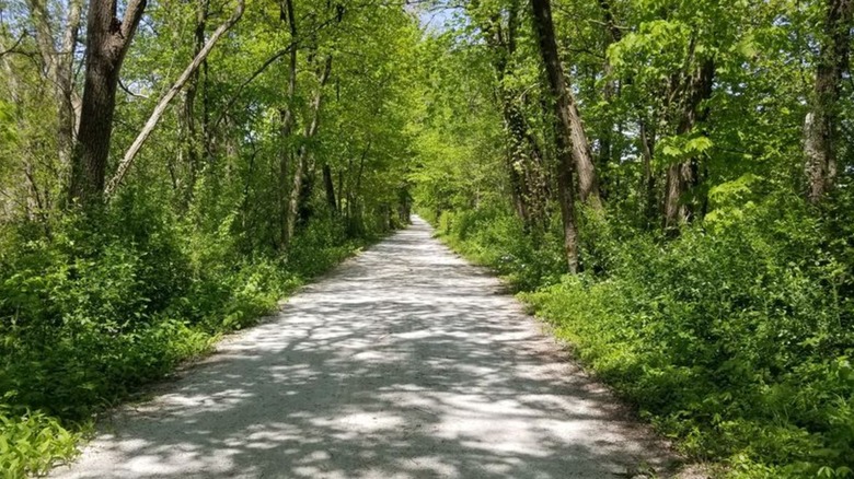 View of the Green Bay Trail that passes through Kenilworth