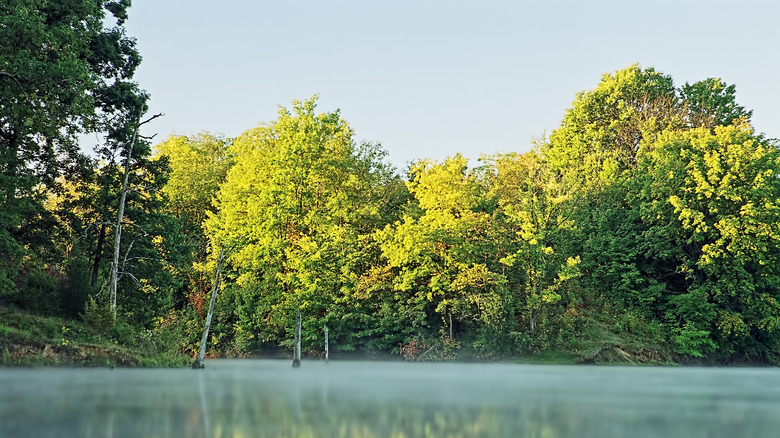 Lake Sara near Effingham, Illinois