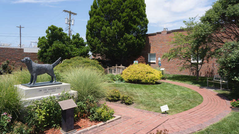 A garden and memorial at the Jim the Wonder Dog Museum