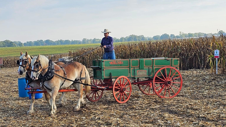 A wagon at the Missouri State Cornhusking Competition in Marshall, Missour