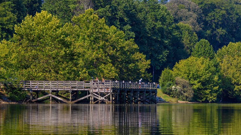People fishing on the pier at Warriors path state park