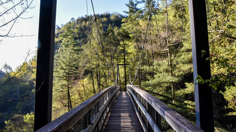 Suspension bridge in Tallulah Gorge State Park