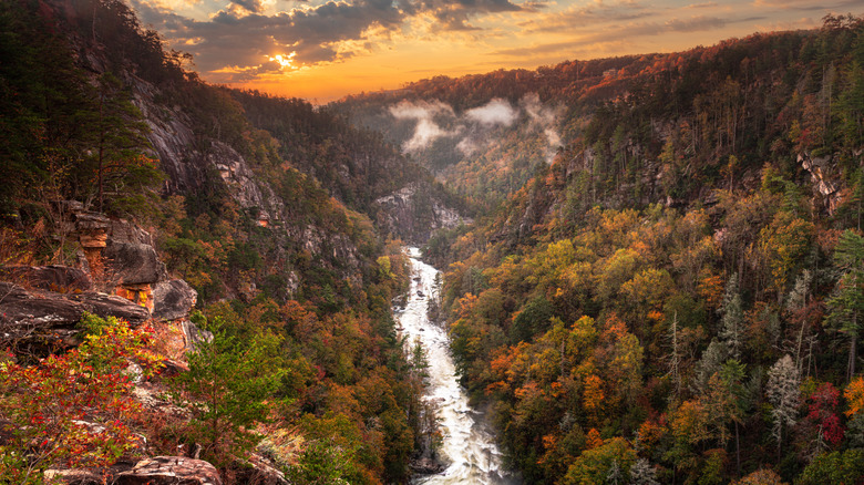 A river flowing through mountains covered in fall foliage in Tallulah Gorge State Park, Georgia
