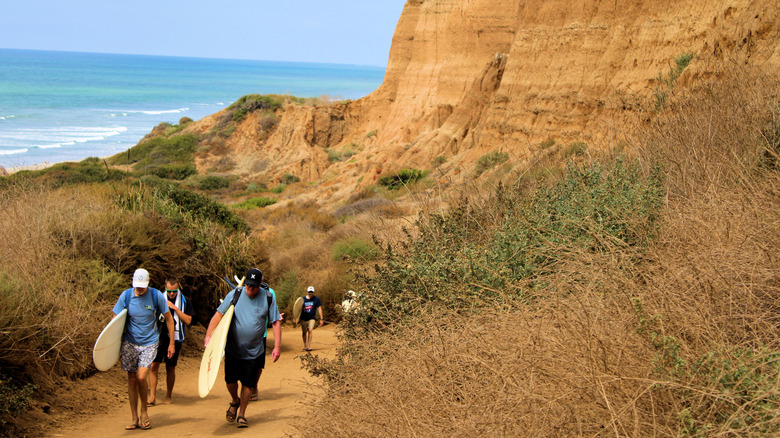 Surfers on a trail at San Onofre Beach