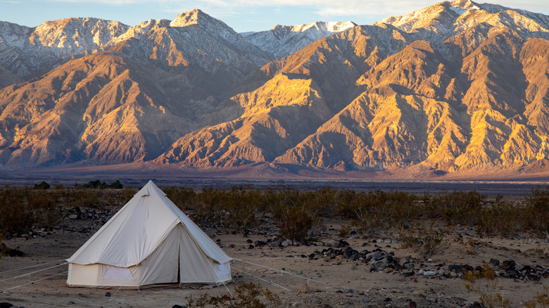 Tent overlooking the mountains in Death Valley at sunrise