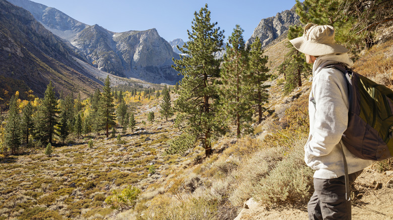 Hiking on Big Pine Creek Trail near Bishop, California