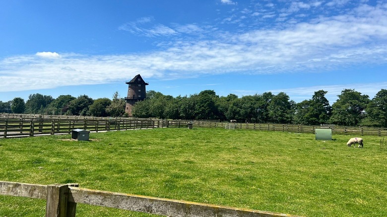 Historic windmill behind a green pasture
