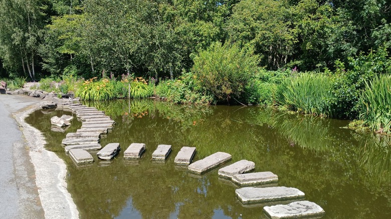 A stepping stone path on the water at Martin Mere