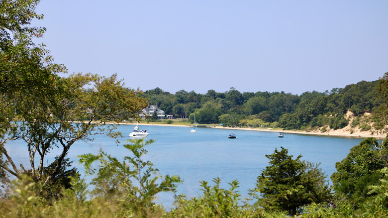 View of the coast of Shelter Island with boats
