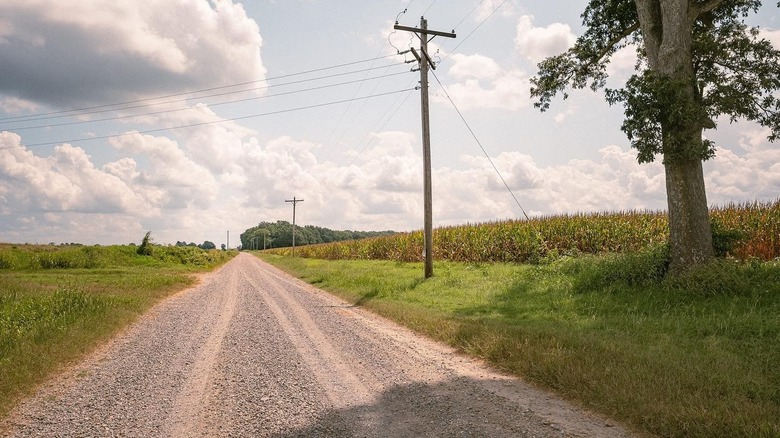 A rural road in Brinkley Arkansas