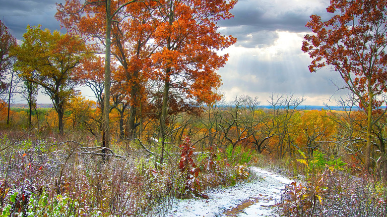 A section of the Ice Age Trail passing through Kettle Moraine National Forest during autumn after a light snowfall