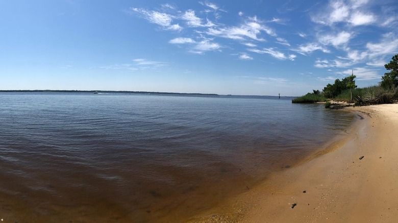 Sandy beach on Winyah Bay