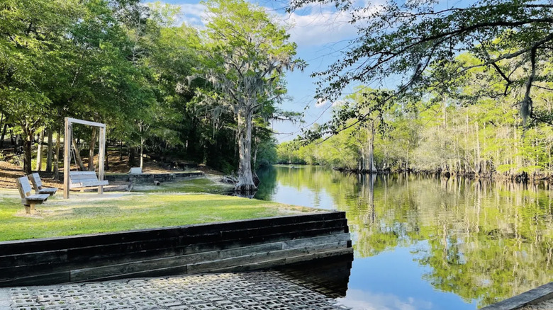 scenic shoreline of the Lumber River at Lumber River State Park, Princess Ann access