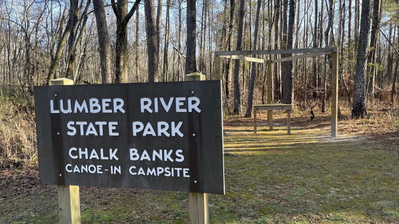 caneo-in campsite at Lumber River State Park, Chalk Banks access