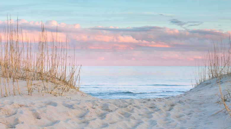 Sandy South Carolina beach
