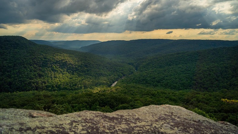 Mountain top view of Scotts Gulf Wilderness State Park in Tennessee