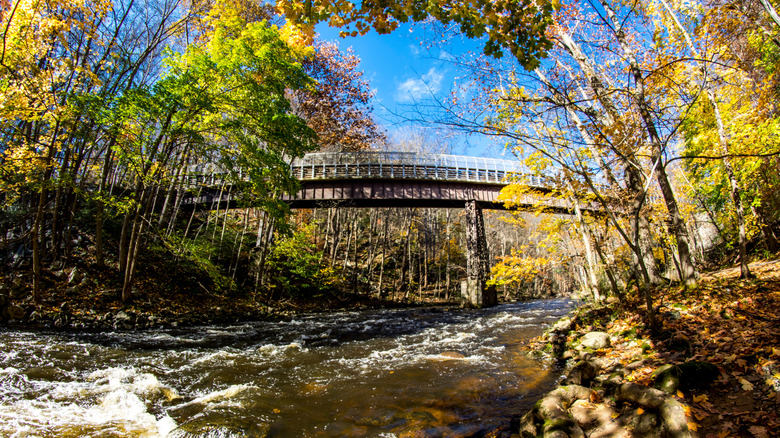 The Ken Lockwood Gorge Bridge stands above the South Branch of the Raritan River