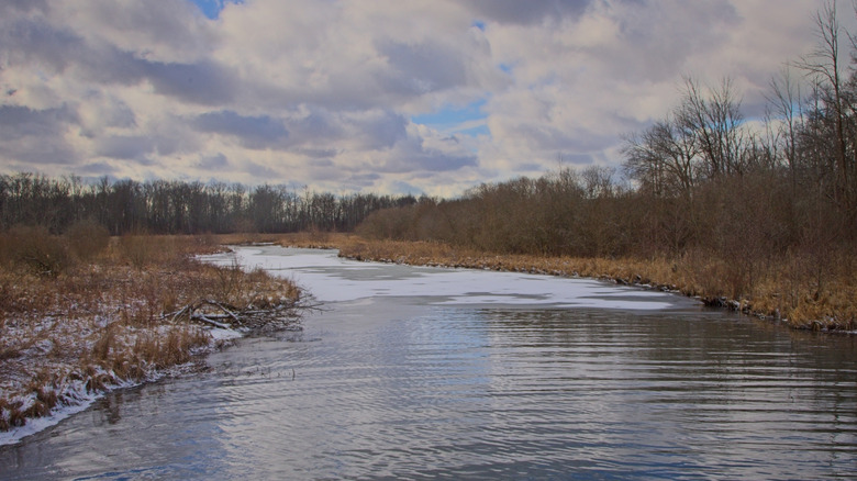 A river in Buckhorn Island State Park