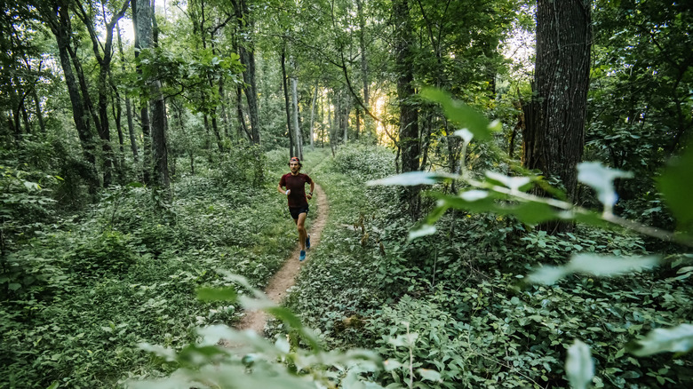 Jogger on a trail in Asheville, NC