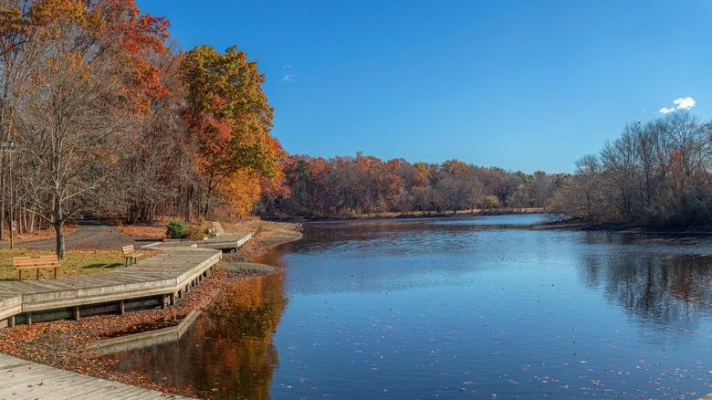 The lake at Turkey Swamp Park with a boardwalk, benches, and trees with orange fall leaves.
